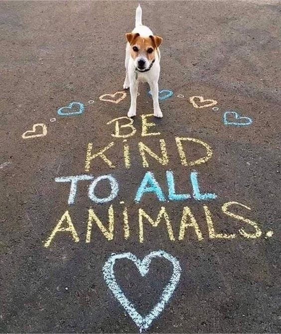 Be Kind To All Animals